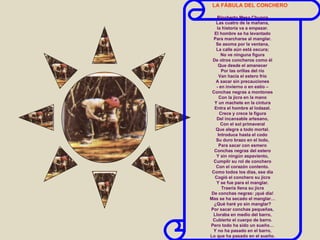 LA FÁBULA DEL CONCHERO Rigoberto Mesa Chunga Las cuatro de la mañana, la historia va a empezar. El hombre se ha levantado Para marcharse al manglar. Se asoma por la ventana, La calle aún está oscura; No ve ninguna figura De otros concheros como él Que desde el amanecer Por las orillas del río Van hacia el estero frío A sacar sin precauciones - en invierno o en estío – Conchas negras a montones Con la jicra en la mano Y un machete en la cintura Entra el hombre al lodazal. Crece y crece la figura Del incansable artesano, Con el sol primaveral Que alegra a todo mortal. Introduce hasta el codo Su duro brazo en el lodo, Para sacar con esmero Conchas negras del estero Y sin ningún aspaviento, Cumplir su rol de conchero Con el corazón contento. Como todos los días, ese día Cogió el conchero su jicra Y se fue para el manglar. Traería llena su jicra De conchas negras: ¡qué día! Mas se ha secado el manglar… ¿Qué haré yo sin manglar? Por sacar conchas pequeñas, Lloraba en medio del barro, Cubierto el cuerpo de barro. Pero todo ha sido un sueño… Y no ha pasado en el barro, Lo que ha pasado en el sueño. 