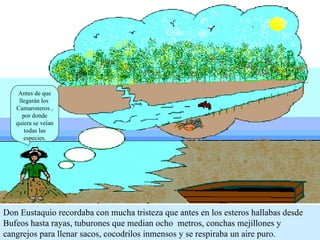Don Eustaquio recordaba con mucha tristeza que antes en los esteros hallabas desde  Bufeos hasta rayas, tuburones que median ocho  metros, conchas mejillones y cangrejos para llenar sacos, cocodrilos inmensos y se respiraba un aire puro. Antes de que llegarán los  Camaroneros , por donde quiera se veían todas las especies. 