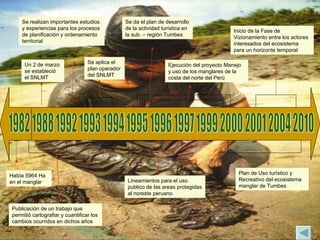 1982 1988 1992 1993 1994 1995 1996 1997 1999 2000 2001 2004 2010 Había 5964 Ha en el manglar Publicación de un trabajo que permitió cartografiar y cuantificar los cambios ocurridos en dichos años Un 2 de marzo se estableció el SNLMT Se realizan importantes estudios y experiencias para los procesos de planificación y ordenamiento territorial Se aplica el plan operador del SNLMT Plan de Uso turístico y Recreativo del ecosistema manglar de Tumbes Lineamientos para el uso publico de las areas protegidas al noreste peruano  Inicio de la Fase de Vizionamiento entre los actores interesados del ecosistema para un horizonte temporal Se da el plan de desarrollo de la actividad turística en la sub. – región Tumbes  Ejecución del proyecto Manejo y uso de los manglares de la costa del norte del Perú 