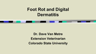 Foot Rot and Digital
Dermatitis
Dr. Dave Van Metre
Extension Veterinarian
Colorado State University
 