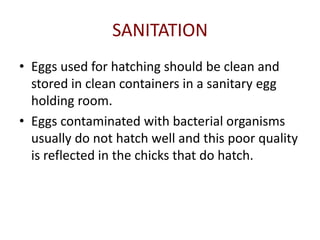 SANITATION
• Eggs used for hatching should be clean and
  stored in clean containers in a sanitary egg
  holding room.
• Eggs contaminated with bacterial organisms
  usually do not hatch well and this poor quality
  is reflected in the chicks that do hatch.
 