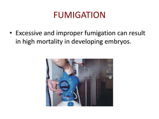 FUMIGATION
• Excessive and improper fumigation can result
  in high mortality in developing embryos.
 