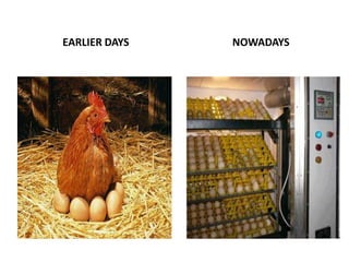 EARLIER DAYS   NOWADAYS
 