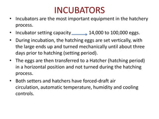 INCUBATORS
• Incubators are the most important equipment in the hatchery
  process.
• Incubator setting capacity          14,000 to 100,000 eggs.
• During incubation, the hatching eggs are set vertically, with
  the large ends up and turned mechanically until about three
  days prior to hatching (setting period).
• The eggs are then transferred to a Hatcher (hatching period)
  in a horizontal position and not turned during the hatching
  process.
• Both setters and hatchers have forced-draft air
  circulation, automatic temperature, humidity and cooling
  controls.
 