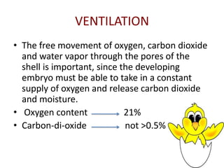 VENTILATION
• The free movement of oxygen, carbon dioxide
  and water vapor through the pores of the
  shell is important, since the developing
  embryo must be able to take in a constant
  supply of oxygen and release carbon dioxide
  and moisture.
• Oxygen content             21%
• Carbon-di-oxide            not >0.5%
 