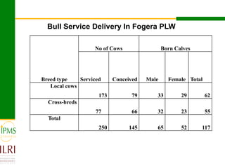 Dairy value chain development based on experiences  of IPMS and partners