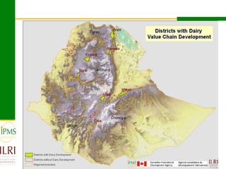 Dairy value chain development based on experiences  of IPMS and partners