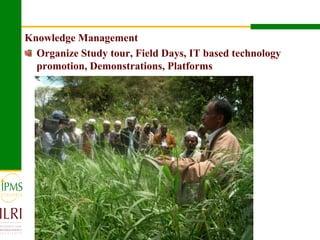 Dairy value chain development based on experiences  of IPMS and partners