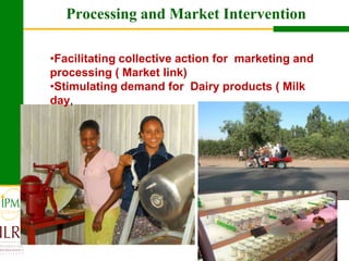 Dairy value chain development based on experiences  of IPMS and partners