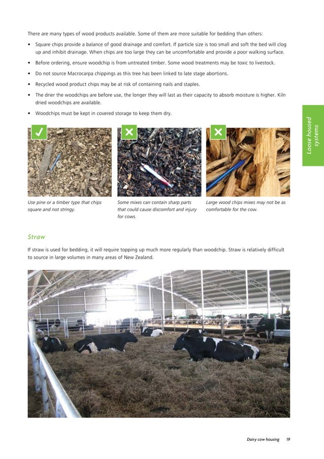 Dairy cowhousingguide PDF