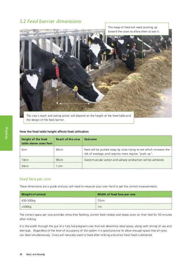 Dairy cowhousingguide