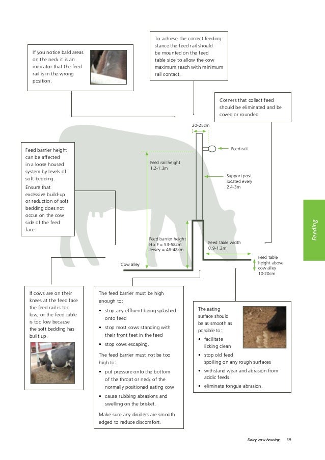 Dairy cowhousingguide