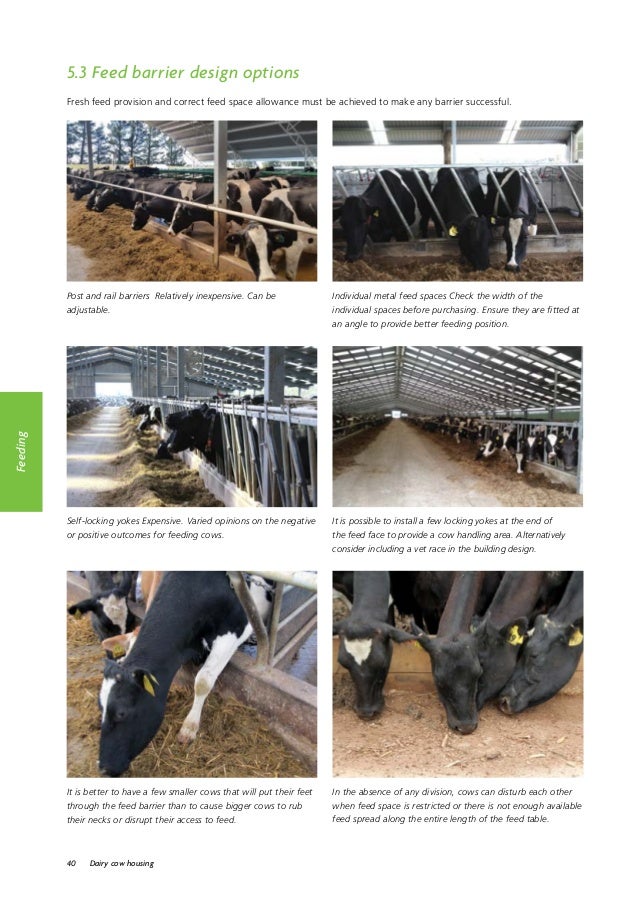 Dairy cowhousingguide
