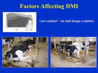 Dairy Farm Business Planning | PPT