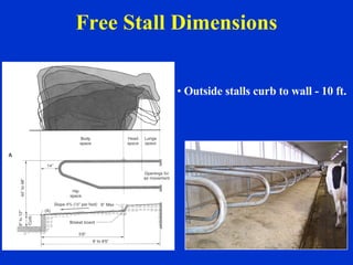Dairy Farm Business Planning | PPT