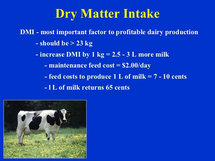 dairy business plan