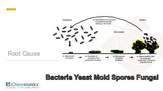 Dairy   hygiene & safety