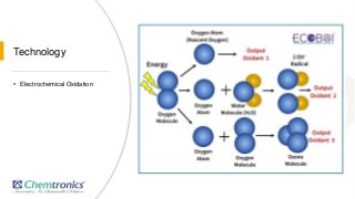 Dairy   hygiene & safety