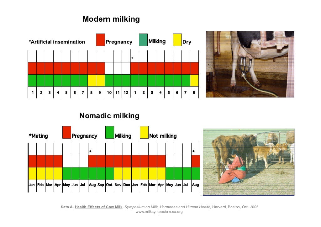 Dairy, Hormones and human health by Pedro Bastos