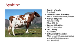 Ayshire:
• Country of origin:
Scottland
• Desirable colour & Marking:
Red or brown with white patches.
• Average body Size:
Female-550 Kg
Male- 850 Kg
• Average Milk Yield:
5800 Kg/Lactation
• First Calving:
40 Months
• Distinguished Character:
Most beautiful breed, over active
animal, difficult to manage,
shorter animal.
 