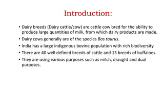 Introduction:
• Dairy breeds (Dairy cattle/cow) are cattle cow bred for the ability to
produce large quantities of milk, from which dairy products are made.
• Dairy cows generally are of the species Bos taurus.
• India has a large indigenous bovine population with rich biodiversity.
• There are 40 well defined breeds of cattle and 13 breeds of buffaloes.
• They are using various purposes such as milch, draught and dual
purposes.
 