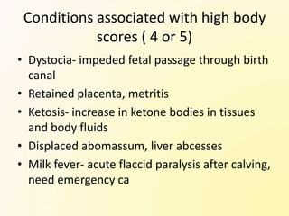 Conditions associated with high body
            scores ( 4 or 5)
• Dystocia- impeded fetal passage through birth
  canal
• Retained placenta, metritis
• Ketosis- increase in ketone bodies in tissues
  and body fluids
• Displaced abomassum, liver abcesses
• Milk fever- acute flaccid paralysis after calving,
  need emergency ca
 