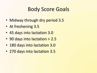 Body Score Goals
•   Midway through dry period 3.5
•   At freshening 3.5
•   45 days into lactation 3.0
•   90 days into lactation > 2.5
•   180 days into lactation 3.0
•   270 days into lactation 3.5
 