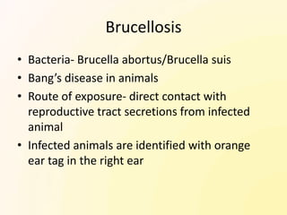 Brucellosis
• Bacteria- Brucella abortus/Brucella suis
• Bang’s disease in animals
• Route of exposure- direct contact with
  reproductive tract secretions from infected
  animal
• Infected animals are identified with orange
  ear tag in the right ear
 