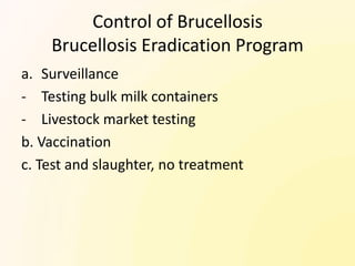 Control of Brucellosis
    Brucellosis Eradication Program
a. Surveillance
- Testing bulk milk containers
- Livestock market testing
b. Vaccination
c. Test and slaughter, no treatment
 