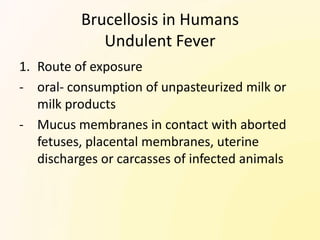Brucellosis in Humans
             Undulent Fever
1. Route of exposure
- oral- consumption of unpasteurized milk or
   milk products
- Mucus membranes in contact with aborted
   fetuses, placental membranes, uterine
   discharges or carcasses of infected animals
 