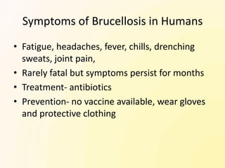 Symptoms of Brucellosis in Humans
• Fatigue, headaches, fever, chills, drenching
  sweats, joint pain,
• Rarely fatal but symptoms persist for months
• Treatment- antibiotics
• Prevention- no vaccine available, wear gloves
  and protective clothing
 
