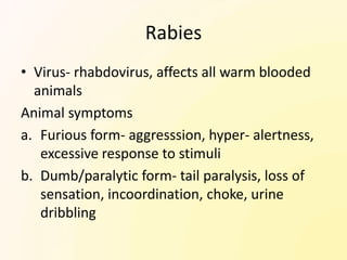 Rabies
• Virus- rhabdovirus, affects all warm blooded
  animals
Animal symptoms
a. Furious form- aggresssion, hyper- alertness,
   excessive response to stimuli
b. Dumb/paralytic form- tail paralysis, loss of
   sensation, incoordination, choke, urine
   dribbling
 