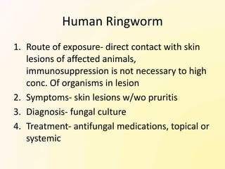 Human Ringworm
1. Route of exposure- direct contact with skin
   lesions of affected animals,
   immunosuppression is not necessary to high
   conc. Of organisms in lesion
2. Symptoms- skin lesions w/wo pruritis
3. Diagnosis- fungal culture
4. Treatment- antifungal medications, topical or
   systemic
 