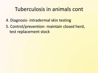 Tuberculosis in animals cont
4. Diagnosis- intradermal skin testing
5. Control/prevention- maintain closed herd,
  test replacement stock
 