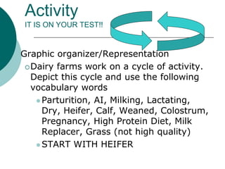 Activity
IT IS ON YOUR TEST!!
 Graphic organizer/Representation
Dairy farms work on a cycle of activity.
Depict this cycle and use the following
vocabulary words
 Parturition, AI, Milking, Lactating,
Dry, Heifer, Calf, Weaned, Colostrum,
Pregnancy, High Protein Diet, Milk
Replacer, Grass (not high quality)
 START WITH HEIFER
 