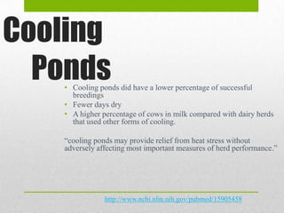 Cooling
  Ponds
   • Cooling ponds did have a lower percentage of successful
     breedings
   • Fewer days dry
   • A higher percentage of cows in milk compared with dairy herds
     that used other forms of cooling.

   “cooling ponds may provide relief from heat stress without
   adversely affecting most important measures of herd performance.”




               http://www.ncbi.nlm.nih.gov/pubmed/15905458
 