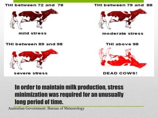 In order to maintain milk production, stress
   minimization was required for an unusually
   long period of time.
Australian Government: Bureau of Meteorology
 
