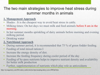 The two main strategies to improve heat stress during
               summer months in animals
   1. Management Approach
   • Shades : It is the cheapest way to avoid heat stress in cattle.
   • Milking times: On hot days we must milk and feed animals before 8 am in the
      morning.
   • In hot summer months sprinkling of dairy animals before morning and evening
      milking period.
   • Drinking water
   2. Nutritional Approach
   • During summer period, it is recommended that 75 % of green fodder feeding.
   • Feeding of total mixed rations I
   • Increase the energy density of diet.
   • Increase the feeding frequency during cooler period of the day
   • Feeding of by-pass nutrients helps to improve nutrient density and availability
      for better milk production
   • Further, supplementation of nutrients which play role as antioxidants
http://en.engormix.com/MA-dairy-cattle/articles/tips-keeping-dairy-cows-t989/p0.htm
 