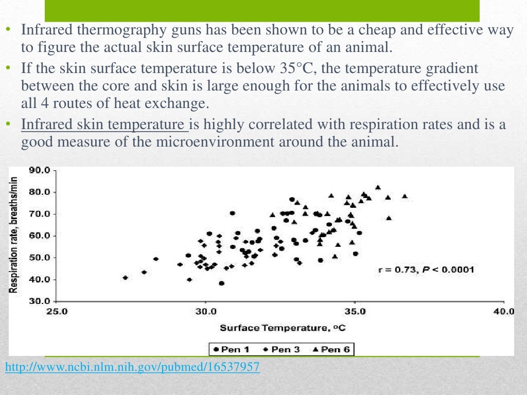 Dairy cattle powerpoint