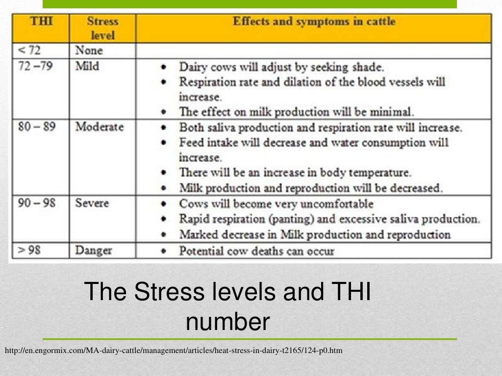 Dairy cattle powerpoint