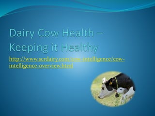 http://www.scrdairy.com/cow-intelligence/cow-
intelligence-overview.html
 