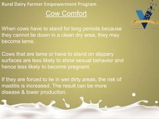 Rural Dairy Farmer Empowerment Program
Cow Comfort
When cows have to stand for long periods because
they cannot lie down in a clean dry area, they may
become lame.
Cows that are lame or have to stand on slippery
surfaces are less likely to show sexual behavior and
hence less likely to become pregnant.
If they are forced to lie in wet dirty areas, the risk of
mastitis is increased. The result can be more
disease & lower production.
 