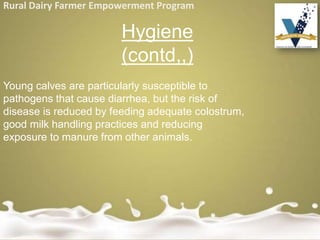 Rural Dairy Farmer Empowerment Program
Young calves are particularly susceptible to
pathogens that cause diarrhea, but the risk of
disease is reduced by feeding adequate colostrum,
good milk handling practices and reducing
exposure to manure from other animals.
Hygiene
(contd,,)
 