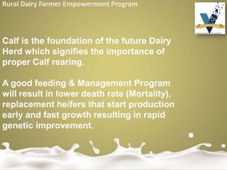 Rural Dairy Farmer Empowerment Program
Calf is the foundation of the future Dairy
Herd which signifies the importance of
proper Calf rearing.
A good feeding & Management Program
will result in lower death rate (Mortality),
replacement heifers that start production
early and fast growth resulting in rapid
genetic improvement.
 