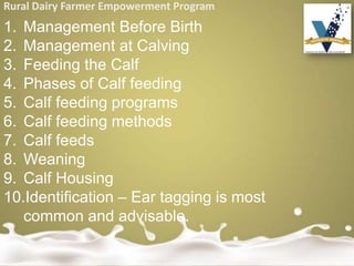 Rural Dairy Farmer Empowerment Program
1. Management Before Birth
2. Management at Calving
3. Feeding the Calf
4. Phases of Calf feeding
5. Calf feeding programs
6. Calf feeding methods
7. Calf feeds
8. Weaning
9. Calf Housing
10.Identification – Ear tagging is most
common and advisable.
 