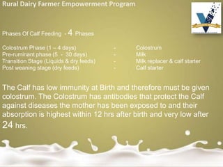 Rural Dairy Farmer Empowerment Program
Phases Of Calf Feeding - 4 Phases
Colostrum Phase (1 – 4 days) - Colostrum
Pre-ruminant phase (5 - 30 days) - Milk
Transition Stage (Liquids & dry feeds) - Milk replacer & calf starter
Post weaning stage (dry feeds) - Calf starter
The Calf has low immunity at Birth and therefore must be given
colostrum. The Colostrum has antibodies that protect the Calf
against diseases the mother has been exposed to and their
absorption is highest within 12 hrs after birth and very low after
24 hrs.
 