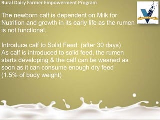 Rural Dairy Farmer Empowerment Program
The newborn calf is dependent on Milk for
Nutrition and growth in its early life as the rumen
is not functional.
Introduce calf to Solid Feed: (after 30 days)
As calf is introduced to solid feed, the rumen
starts developing & the calf can be weaned as
soon as it can consume enough dry feed
(1.5% of body weight)
 