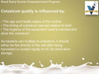 Rural Dairy Farmer Empowerment Program
Colostrum quality is influenced by:
• The age and health status of the mother
• The timing of colostrum harvest relative to birth
• The hygiene of the equipment used to harvest and
store the colostrum.
As bacteria can multiply in colostrum, it should
either be fed directly to the calf after being
harvested or cooled rapidly to 4C for short-term
storage.
 