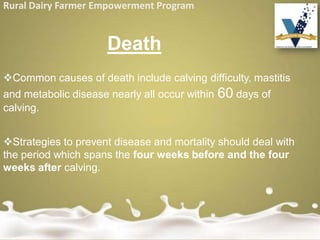 Rural Dairy Farmer Empowerment Program
Death
Common causes of death include calving difficulty, mastitis
and metabolic disease nearly all occur within 60 days of
calving.
Strategies to prevent disease and mortality should deal with
the period which spans the four weeks before and the four
weeks after calving.
 
