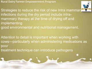 Rural Dairy Farmer Empowerment Program
Strategies to reduce the risk of new Intra mammary
infections during the dry period include intra-
mammary therapy at the time of drying off and
implementing
good environmental and nutritional management.
Attention to detail is important when working with
cows—particularly when administering medications as
poor
treatment technique can introduce pathogens
 